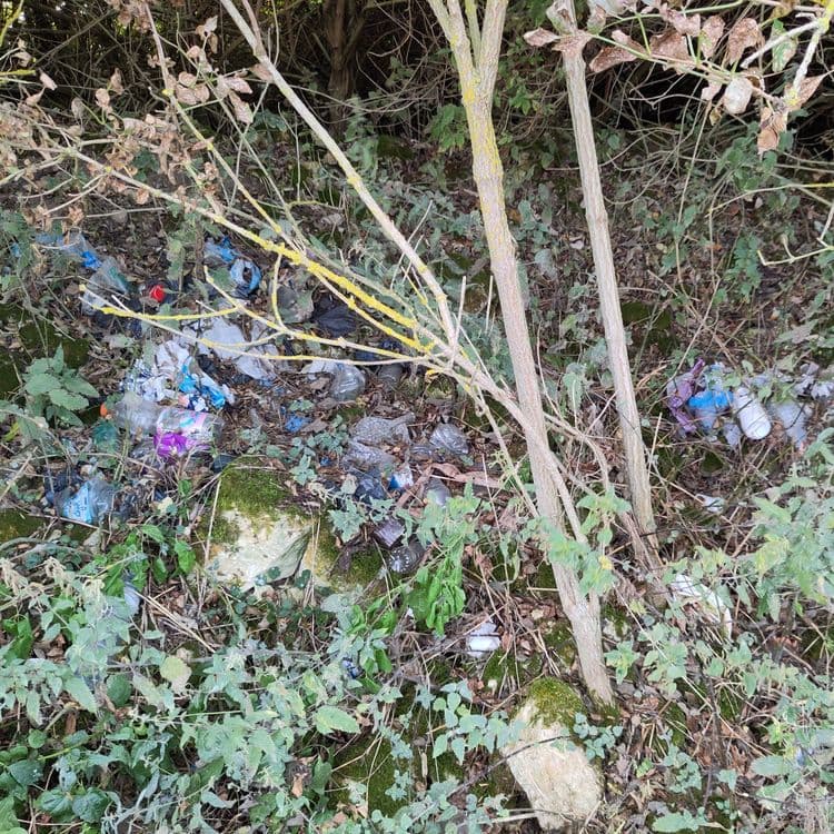 Voici une estimation des déchets présents sur l'image :

*   **Plastique**: On observe une quantité importante de sacs en plastique, des bouteilles et divers emballages. On peut estimer le poids total de ces déchets plastiques à environ 3 à 5 kg. La quantité est estimée à environ 15-20 articles.

*   **Déchets divers**: Il y a également des canettes en métal et des débris non identifiables enfouis dans la végétation. Le poids total de ces déchets est estimé à environ 1 à 2 kg. La quantité est estimée à environ 5-10 articles.

