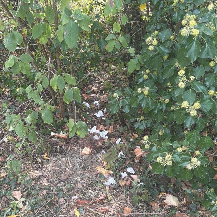 Suite à la réception de la photo, voici l'inventaire des déchets abandonnés sur le site, avec une estimation de leur quantité et de leur poids pour faciliter l'intervention :

*   **Sacs poubelles noirs (contenant des déchets ménagers variés):** Une quantité estimée entre 12 et 15 sacs, représentant un poids total d'environ 120 à 150 kilogrammes.
*   **Bouteilles en plastique (eau, soda, etc.):** Environ 20 à 30 unités sont visibles, pour un poids total estimé entre 1 et 2 kilogrammes.
*   **Canettes en aluminium:** On dénombre approximativement 10 à 15 canettes, avec un poids total estimé de 0.2 à 0.3 kilogrammes.
*   **Emballages plastiques divers (films, barquettes, sachets):** Une quantité significative est dispersée, équivalente à plusieurs dizaines de pièces, pour un poids estimé entre 3 et 5 kilogrammes.
*   **Seau en plastique (jaune):** Un seul seau a été identifié, pesant environ 0.5 à 1 kilogramme.
*   **Bâche ou grande feuille plastique (rouge/orange):** Une seule pièce de grande taille est présente, avec un poids estimé entre 1 et 2 kilogrammes.
*   **Déchets papier et tissu (mouchoirs, serviettes):** Environ 20 à 30 pièces sont éparpillées, pour un poids très léger, estimé entre 0.1 et 0.2 kilogrammes.
*   **Petits débris divers (fragments de verre, petits objets non identifiés):** Une quantité éparse de ces éléments est présente, avec un poids estimé entre 1 et 2 kilogrammes.
