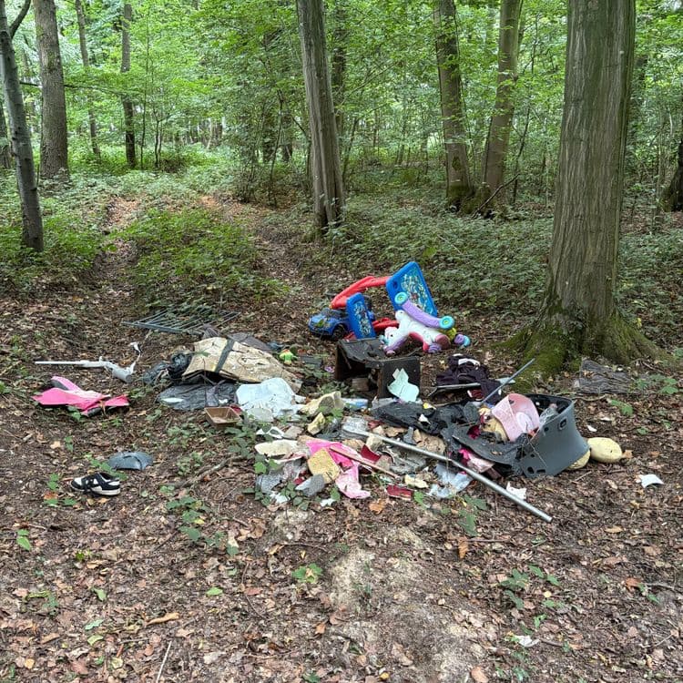 Voici une estimation des déchets présents sur le site, avec une évaluation du poids et de la quantité pour chaque catégorie :

*   **Déchets plastiques**: Divers jouets en plastique (toboggan, voitures, figurines). Poids estimé : 5 kg. Quantité : environ 5-7 pièces.

*   **Textiles**: Vêtements, tissus divers. Poids estimé : 3 kg. Quantité : environ 10 pièces.

*   **Divers**: Un vieux meuble en bois (table ou coffre), des morceaux de béton ou de pierre, un casque de moto. Poids estimé : 15 kg. Quantité : environ 4 pièces.

*   **Objets métalliques**: Tubes, éléments de grillages. Poids estimé : 8 kg. Quantité : environ 5-7 pièces.

*   **Chaussures**: Une paire de baskets. Poids estimé : 1 kg. Quantité : 1 paire.