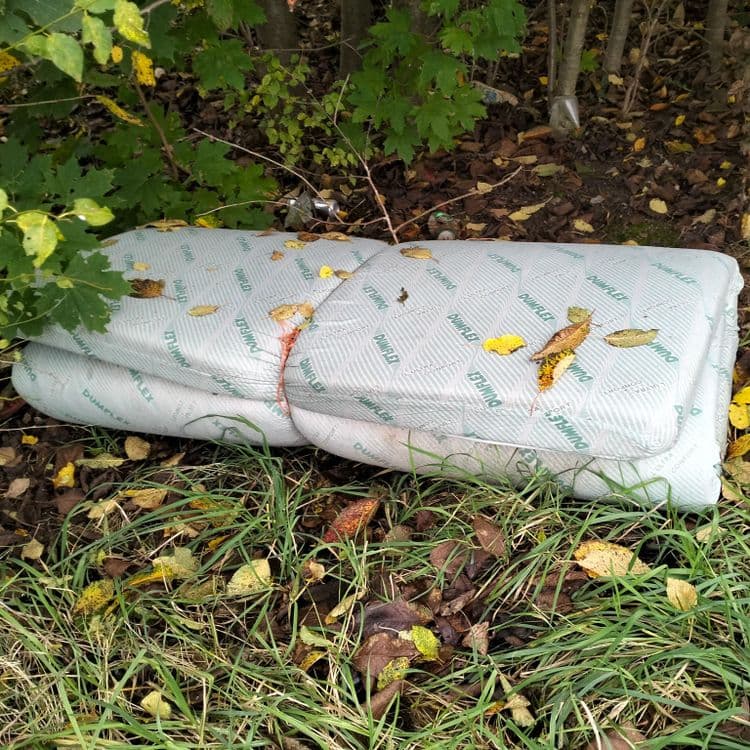 Un matelas, déchets divers dans un petit bois au bord des champs et d'une zone industrielle 