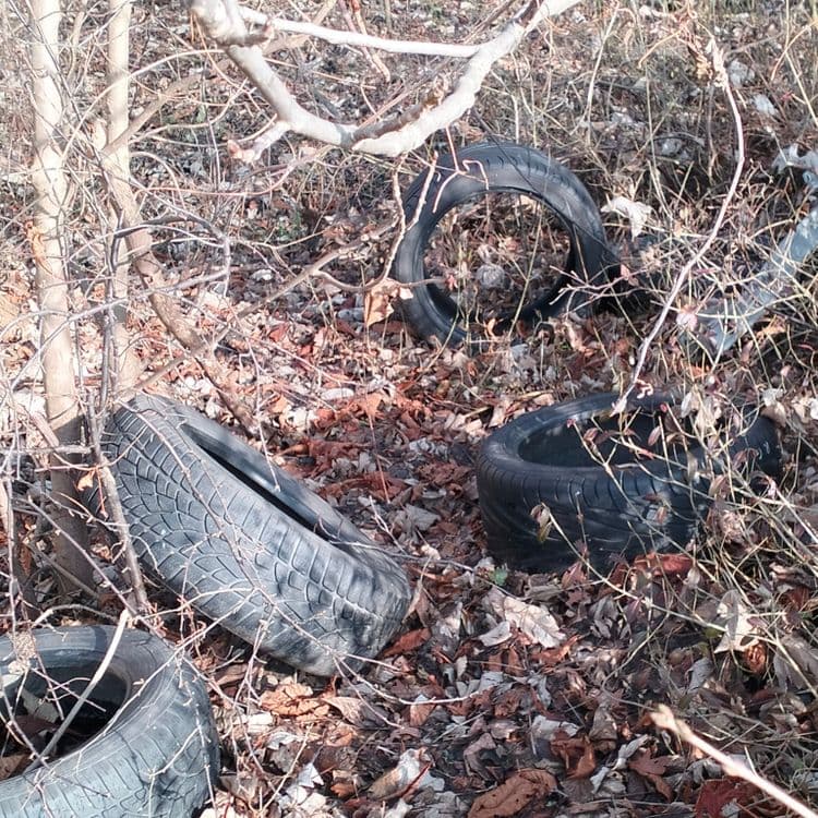 Pneus usagés abandonnés en lisière de forêt 