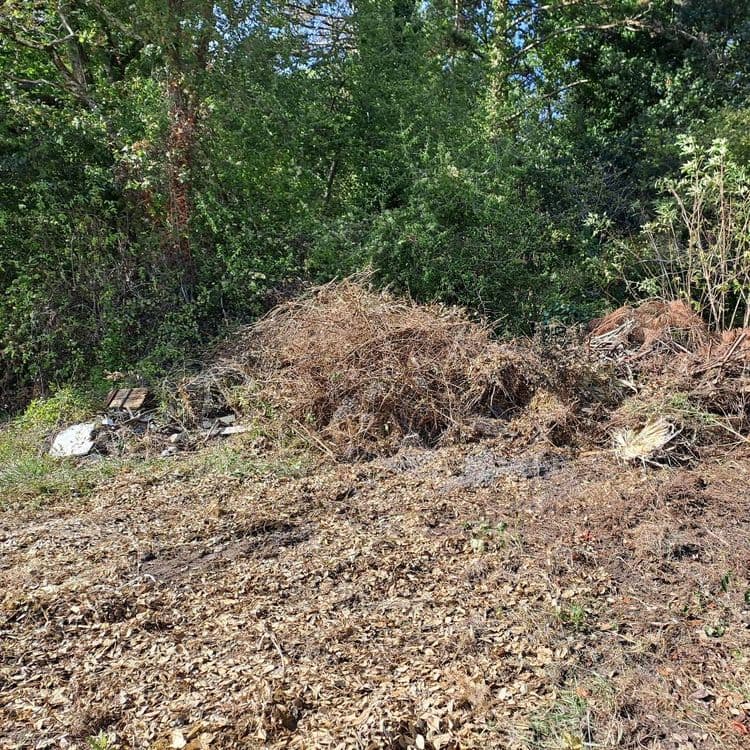 Photo du dépôt signalé