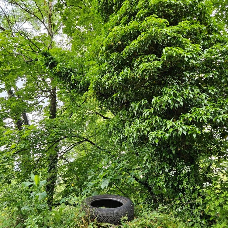 Nombreux pneus abandonnés en pleine nature+ bidon+ seaux