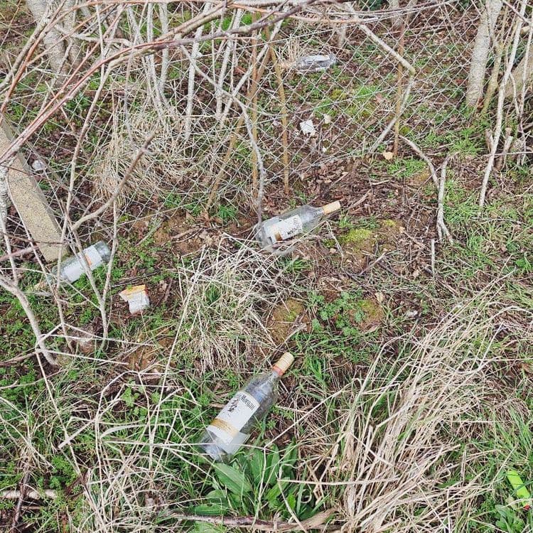 Voici l'analyse des déchets présents sur l'image :

On observe la présence de bouteilles en verre,
 au nombre de trois, estimées à environ 1,5 kg au total. On note également la présence d'une bouteille en plastique, d'un poids approximatif de 50 grammes, ainsi que d'un emballage carton dont le poids est estimé à 20 grammes. Enfin, d'autres déchets divers sont visibles, estimés à environ 100 grammes.
