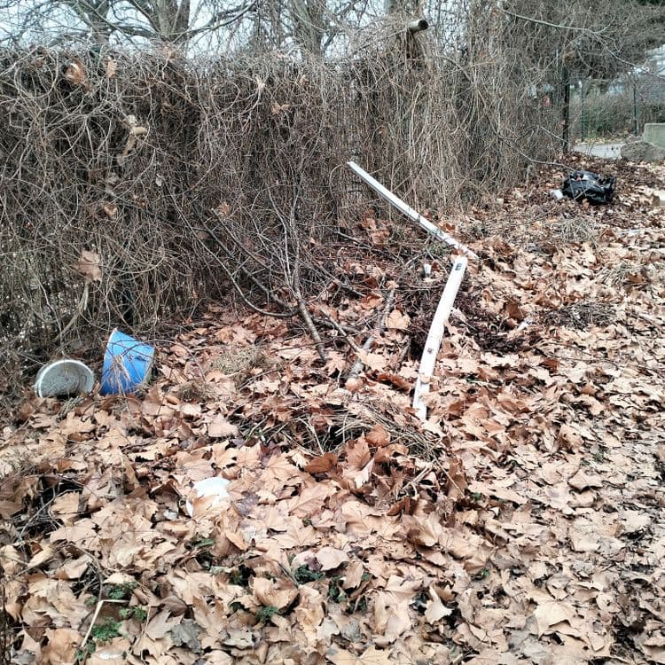 Déchets divers abandonnés à côté d'un étang de pêche 