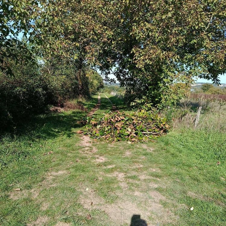 Dépôt sauvage comprenant essentiellement des branches coupées récemment. Endroit facile d'accès. Ce tas de branchage obstrue partiellement un chemin de terre fréquenté par les promeneurs et les propriétaires des terrains avoisinants. Merci
Secteur récurrent pour les dépôts sauvages de toute nature.