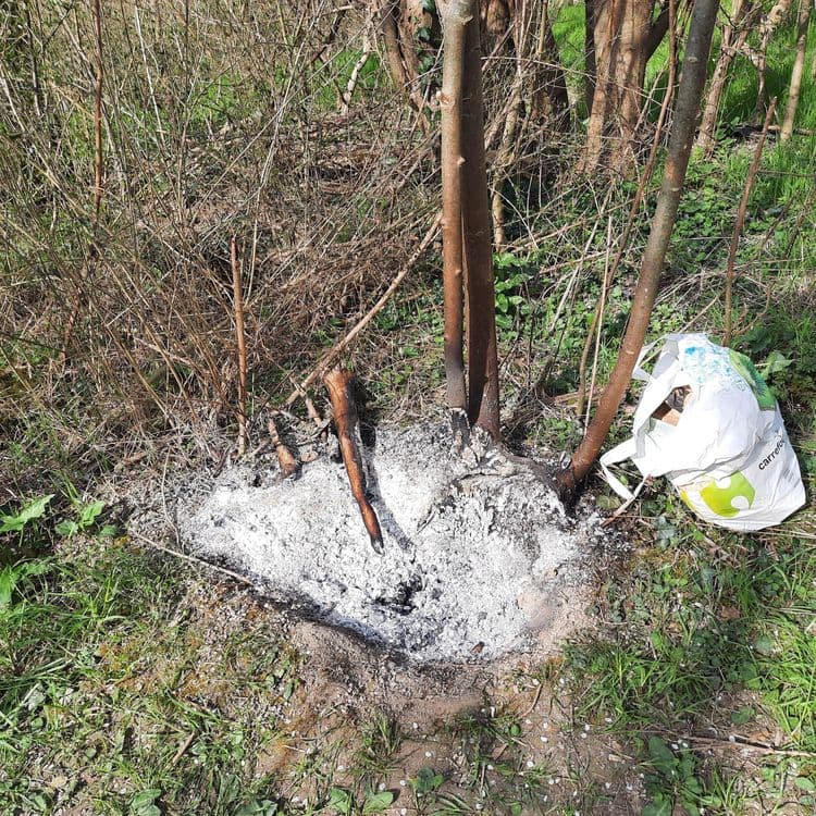 Déchets constatés :

- **Cendres :** Quantité estimée à environ 2 kg.  Il s’agit probablement des résidus d’un petit feu de bois.

- **Bois brûlé :** Environ 1 kg de morceaux de bois partiellement brûlés.

- **Sac plastique Carrefour :** Un sac en plastique blanc avec le logo Carrefour, contenant des déchets non identifiables.  Le poids du sac vide est estimé à 20 g, le contenu pourrait peser entre 0,5 kg et 1 kg, selon la nature des déchets à l’intérieur.


