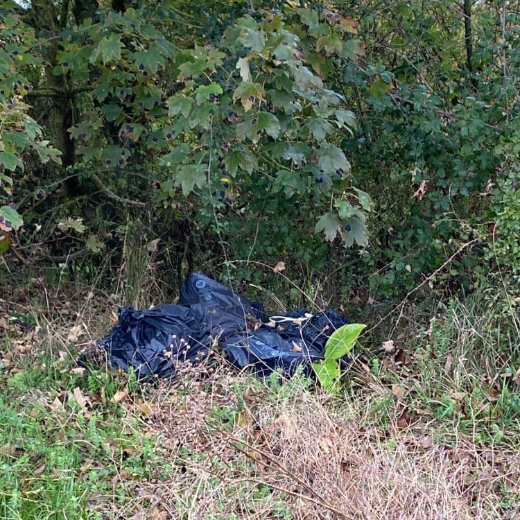 Vieux meuble plus 3 ou 4 sacs noirs 