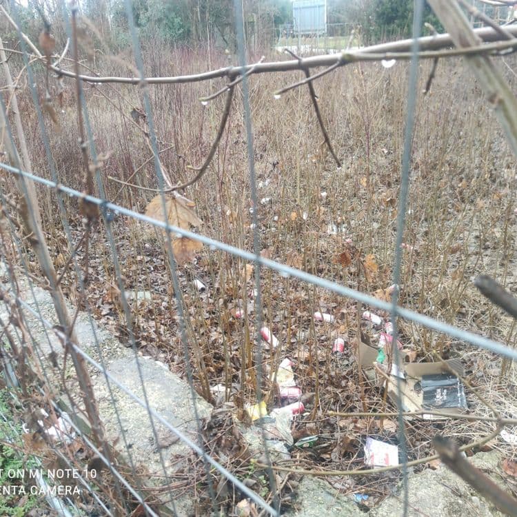 Une centaine de canettes de bierre