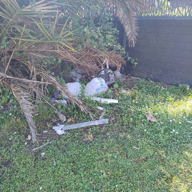 Voici une estimation des déchets présents sur l'image :

*   **Sacs poubelles** : On observe deux sacs poubelles de taille moyenne, pleins. Estimation du poids total : 5 kg.

*   **Déchets plastiques divers** : Divers morceaux de plastique (emballages, fragments divers) sont éparpillés sur la zone. On estime le poids total à 1 kg.

*   **Débris divers**: On aperçoit des débris mélangés à la végétation (petits papiers, etc.). Estimation du poids total : 0.5 kg.