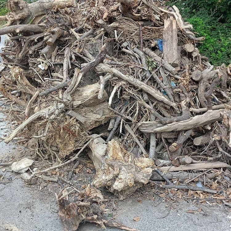 Déchets de plaques de plâtre de démolition et gros volume de souches.