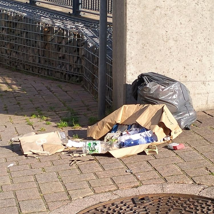 Sac poubelle éventré sur un trottoir 