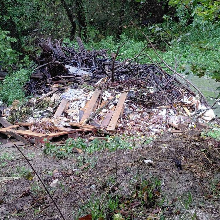 Grande quantité de déchets, charnier... accès facile depuis un chemin de terre pour déposer sauvagement.  Accès difficile pour enlever les déchets...