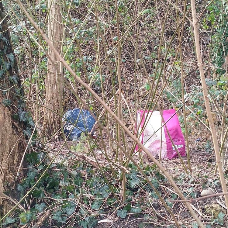 Deux sacs abandonnés au bord d'un parking public en bas d'un talus routier 