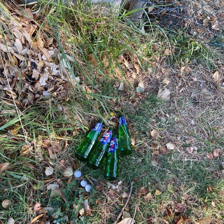 Voici une estimation des déchets présents sur l'image :

*   **Bouteilles en verre (vert) :** Présence de 5 bouteilles vides. Le poids estimé est de 1,5 kg au total.
*   **Capsules de bouteilles :** 3 capsules sont visibles. Leur poids est négligeable, moins de 0,01 kg.