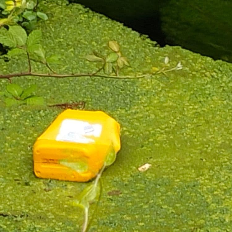 Bidon plastique, pneus usagés et déchets divers flottant ou sur les berges d'un ruisseau 