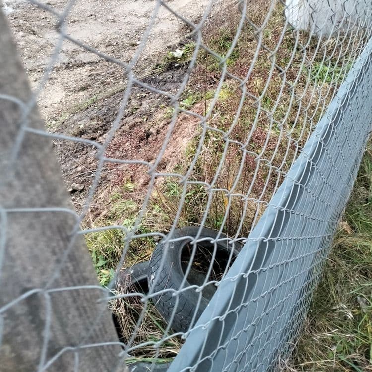 Deux pneus usagés abandonnés derrière une clôture de chantier 