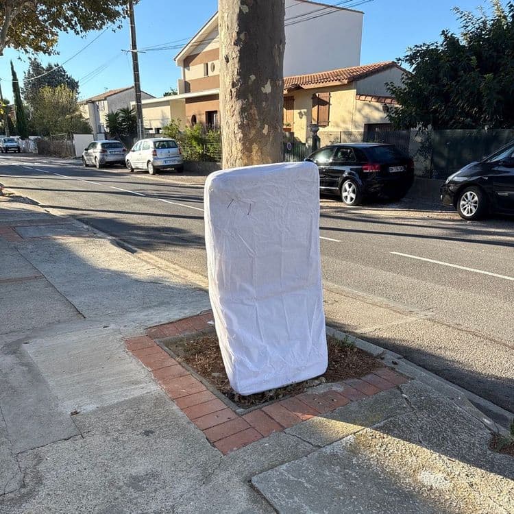 Matelas bébé posé contre un arbre dans la rue 