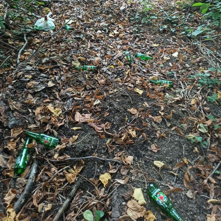 En bordure de route, il y a un début de chemin qui borde le canal. Il y a un début de petite décharge et pas mal de bouteilles de bières