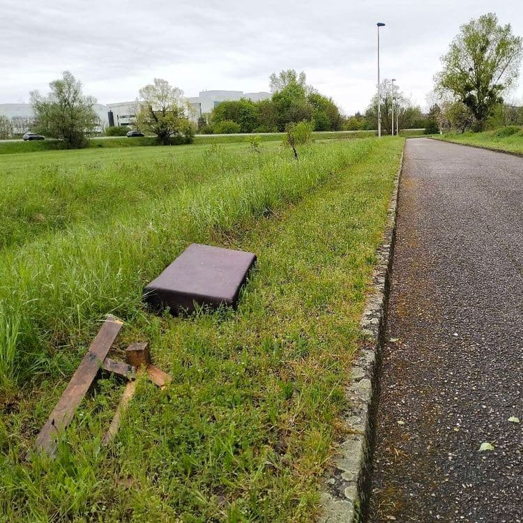 Élément mobilier abandonné au bord d'une route traversant un campus universitaire 