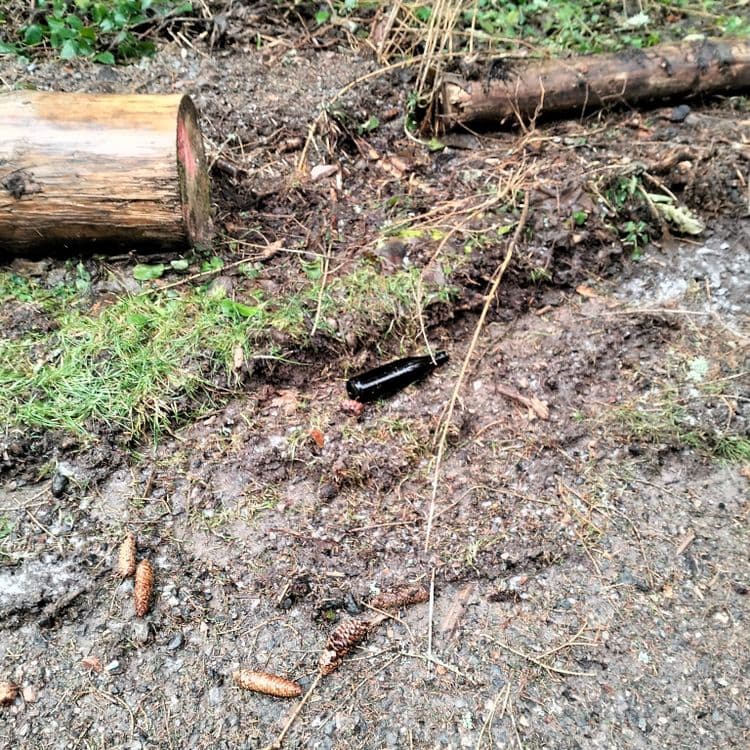 Une bouteille de verre abandonnée sur un chemin forestier 