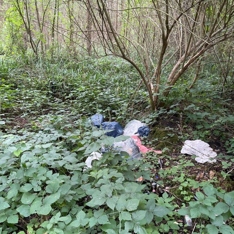 Suite à l'analyse de l'image, voici une estimation des déchets présents :

*   **Sacs plastiques (divers coloris)** : Environ 5 sacs, pour un poids total estimé à 0.5 kg.
*   **Textiles (vêtement ou tissu blanc)** : 1 unité, poids estimé à 0.3 kg.
*   **Bouteilles en verre** : Environ 2 unités, pour un poids total estimé à 1 kg.