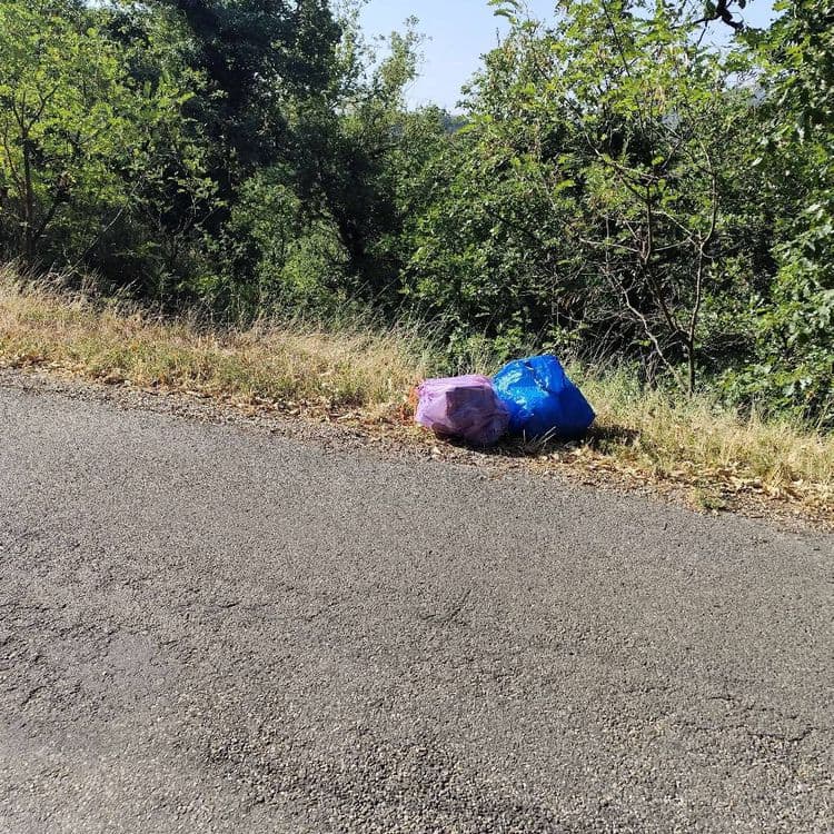 Dépôt sauvage montée de étournelles à Chasse sur Rhône 