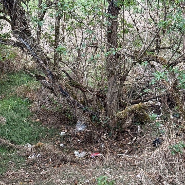 Plusieurs déchets sur le bord du