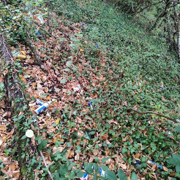 Beaucoup de canettes de bière et des plastiques 