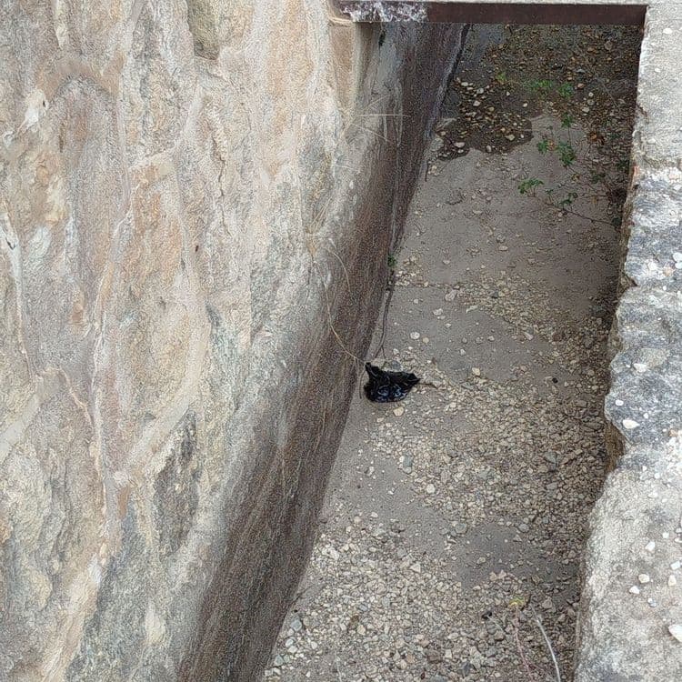 Sac crotte de chien laissé par terre 