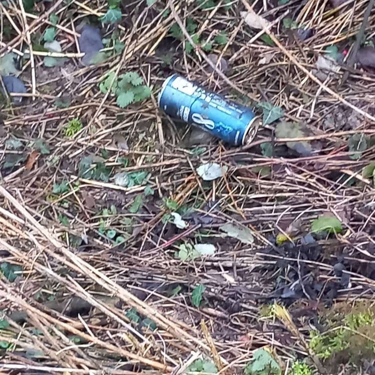Voici une liste des déchets identifiés sur l'image :

*   Une canette de boisson en aluminium : le poids estimé est de 0,015 kg, la quantité est de 1.