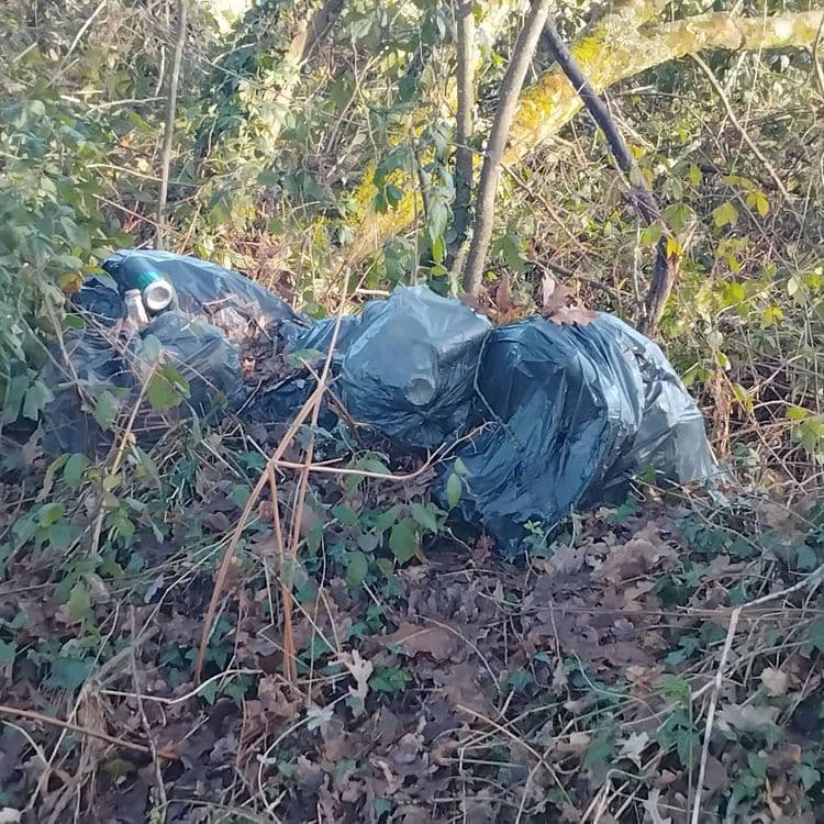 3 sacs poubelle.  Il y a des bières, canettes,emballages...