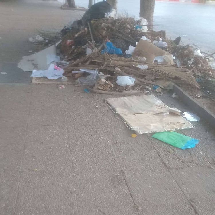 Déchets de jardin et papiers déposés sur le 
trottoir 