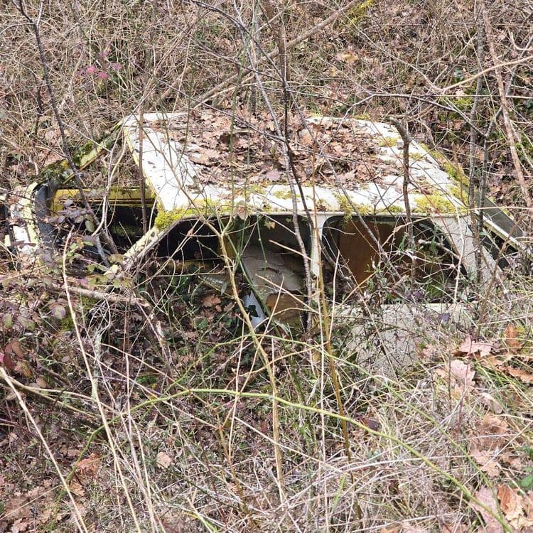 Voici l'analyse des déchets présents sur l'image :

Un véhicule hors d'usage, probablement une voiture, est visible. Son poids est estimé à environ 800 kg.

De plus, des déchets végétaux, tels que des feuilles mortes et des branchages, recouvrent le véhicule et jonchent le sol. La quantité de ces déchets végétaux est estimée à environ 10 kg.
