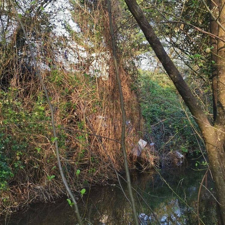 Déchets jetés dans le Ru des Haldres, le long de la rive où se situe l'entreprise BKL