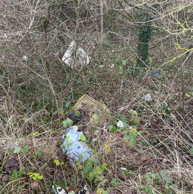 Congélateur et divers plastiques et déchets ménagers 