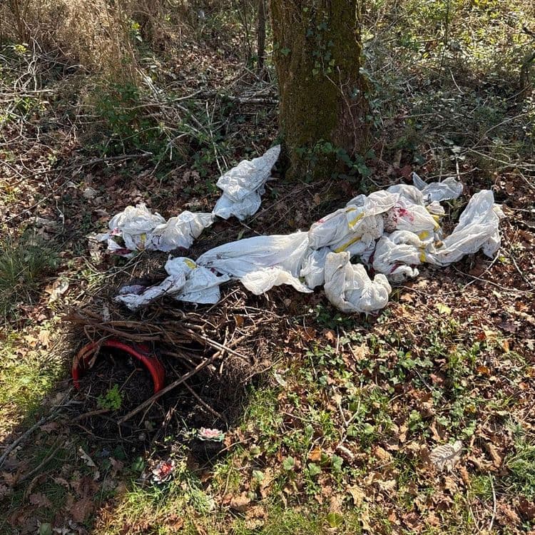 Voici une estimation des déchets présents sur les photos, avec une évaluation de leur quantité et de leur poids approximatif :

**Photo 1 :**

*   **Seaux en plastique:** Présence de deux seaux en plastique de différentes couleurs (blanc/bleu et blanc/vert). Le poids estimé par seau est de 1 kg, pour un total d'environ 2 kg.

*   **Pneu:** Un pneu est visible. Son poids est estimé à 10 kg.

**Photo 2 :**

*   **Sacs en plastique:** On observe un amas de sacs en plastique blancs avec des marquages colorés. Leur poids total est estimé à 0,5 kg. Quantité estimée : 10 sacs.

*   **Pot de fleur en plastique:** Un pot de fleur en plastique rouge est visible. Son poids est estimé à 0,3 kg.

**Photo 3 :**

*   **Déchets ménagers divers:** Une grande quantité de déchets ménagers est éparpillée. Cela comprend potentiellement des emballages plastiques, des papiers, des cartons, des textiles et autres résidus. Le poids total est estimé à 50 kg.
*   **Débris de construction:** Des morceaux de bois, de béton et d'autres matériaux de construction sont mélangés aux déchets ménagers. Le poids total est estimé à 20 kg.

**Photo 4 :**

*   **Vêtements:** Un vêtement en jean bleu est visible. Son poids est estimé à 0,5 kg.
*   **Matériaux de construction:** Un débris de ciment est visible. Son poids est estimé à 1kg.
*   **Déchets Indéterminés:** Une pièce en plastique blanc est visible. Son poids est estimé à 0,2kg.
