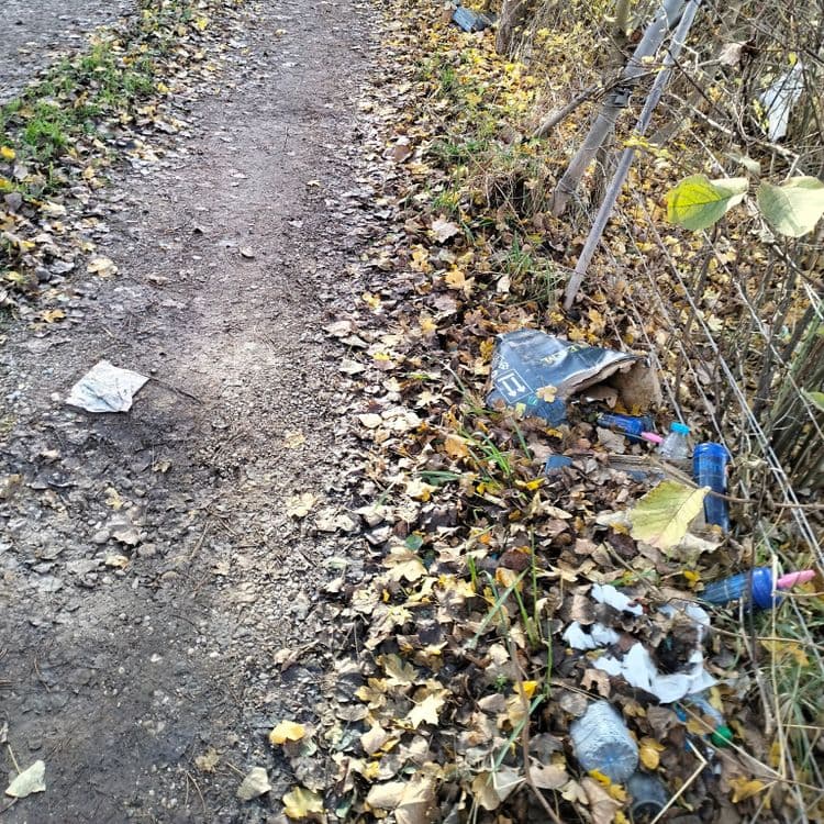 Déchets divers sur un chemin au bord de l'autoroute 