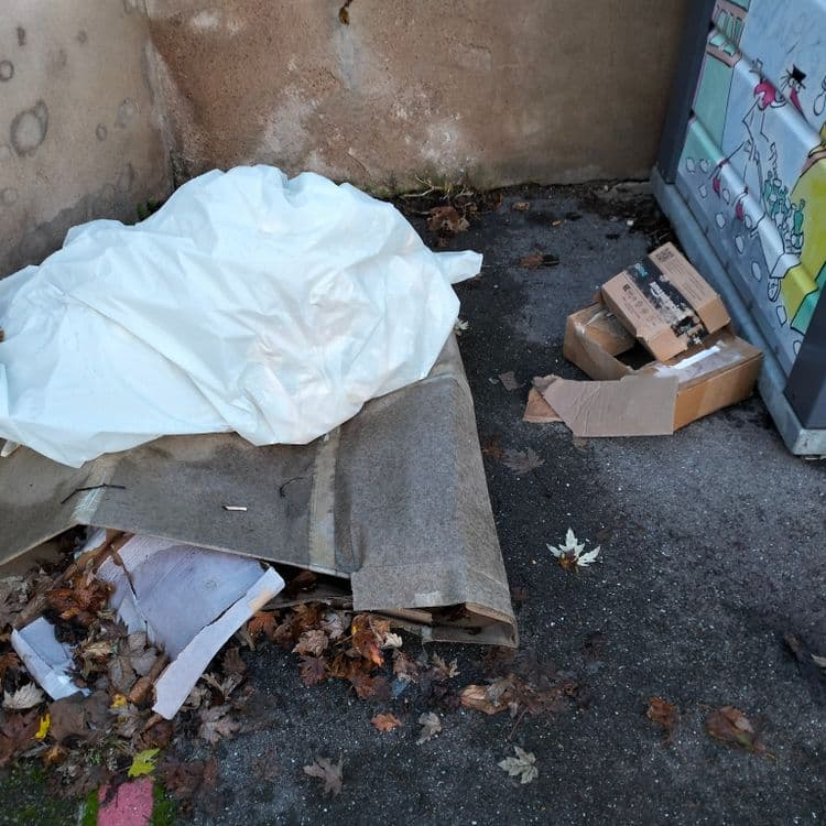 Déchets divers à côté d'un container à verre 