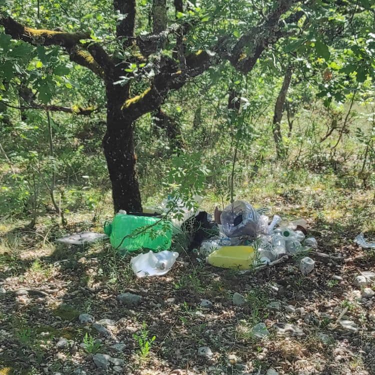 Divers déchets plastiques au pied d'un arbre