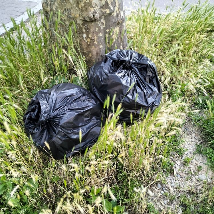 Deux gros sacs poubelles au pied d'un arbre 