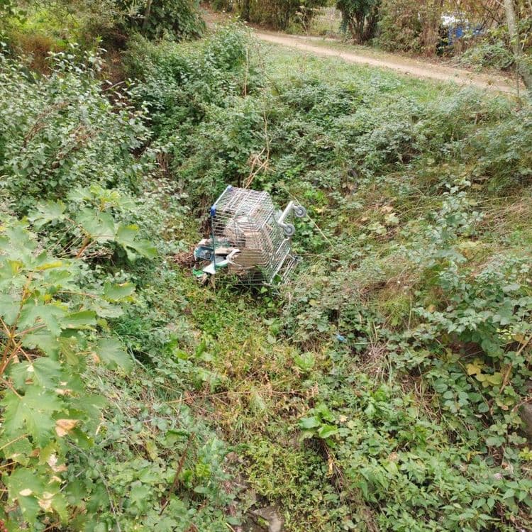 Caddie rempli de détritus dans un ruisseau 
