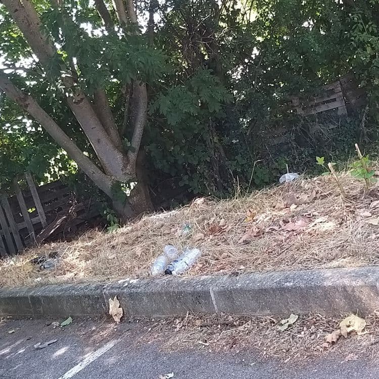 De nombreuses bouteilles en plastique et sacs en plastique, ainsi que des canettes de sodas.