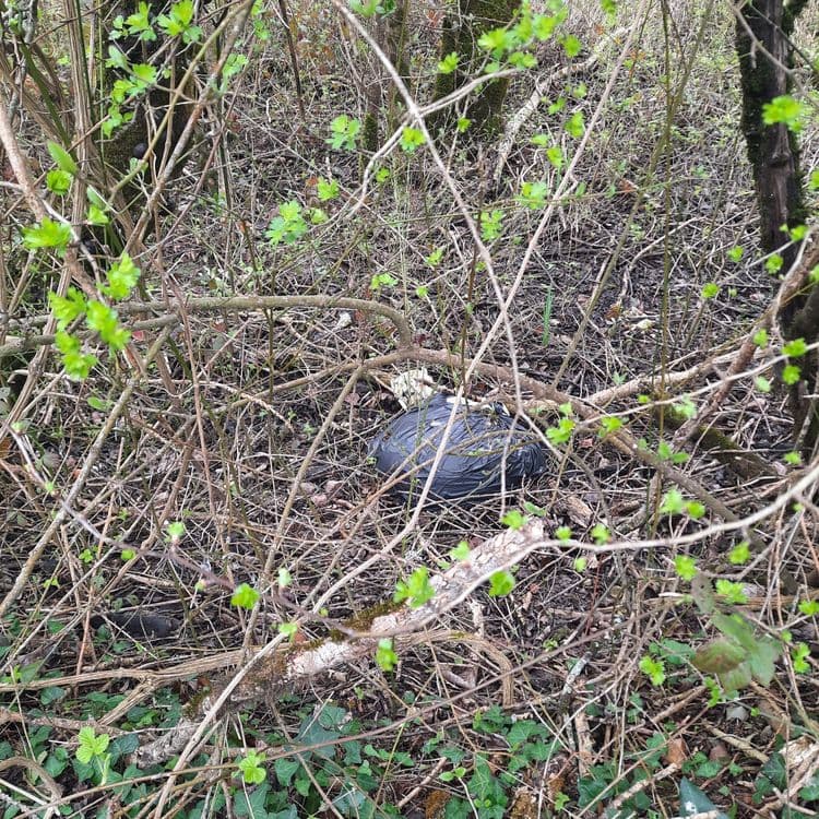 Poubelle noire et un tas de morceaux de bois  à  la sortie du hameau BOIS RAYMOND en prenant la piste vélo vers la fontaine la font Arnaud 