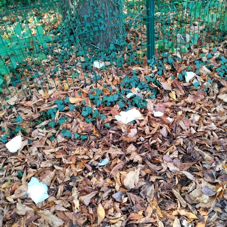 Déchets divers au bord d'un chemin forestier 