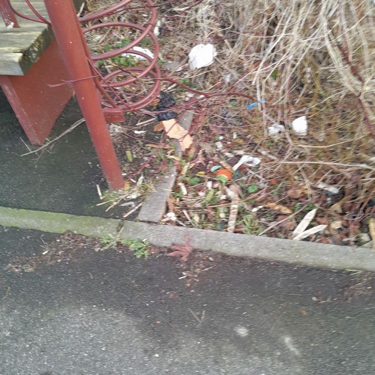 Il y a beaucoup de déchets plastique le long de la coulée verte 