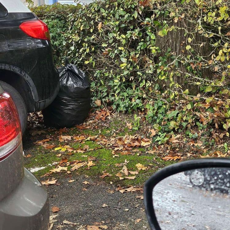 A déposé devant moi, vu de ma voiture et répartis tranquillement dans sa wolkswagen toute neuve plus loin 