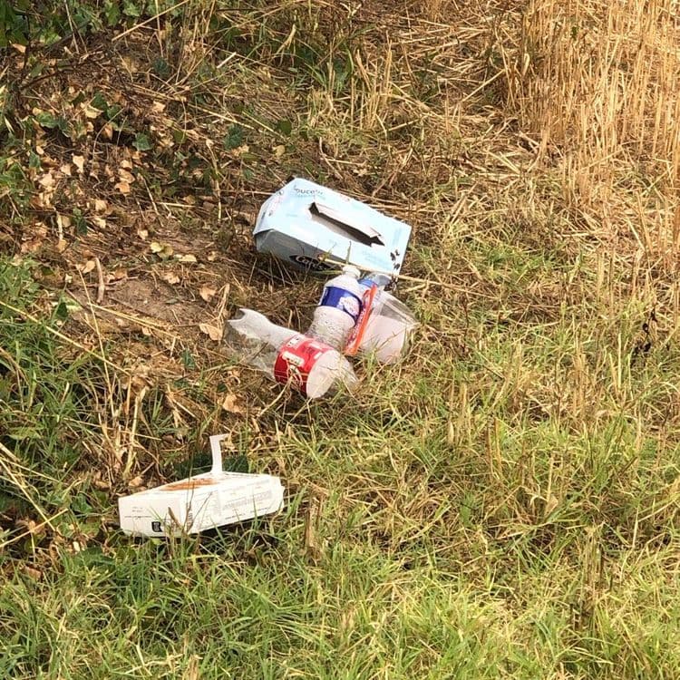 Déchets ménagers et autres jetés en vrac proche des habitations. Les déchets s’éparpillent dans le champ agricole ou se retrouvent piégés dans les ronciers. Agir rapidement avant que ça ne se transforme en décharge. 
