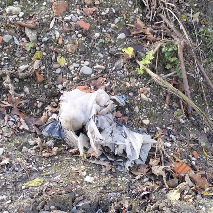 Déchets plastiques et meuble abandonnés dans un bois au bord d'une nouvelle piste cyclable 
