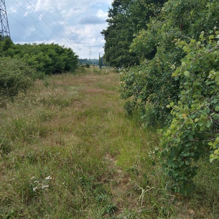 Décharge sauvage sur chemin donnant sur route de Camparian le long du bâtiment collecteur d eau Veolia